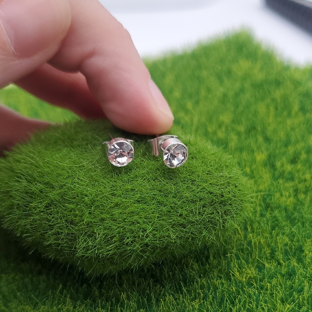 Stunning Crystal Earrings E1030